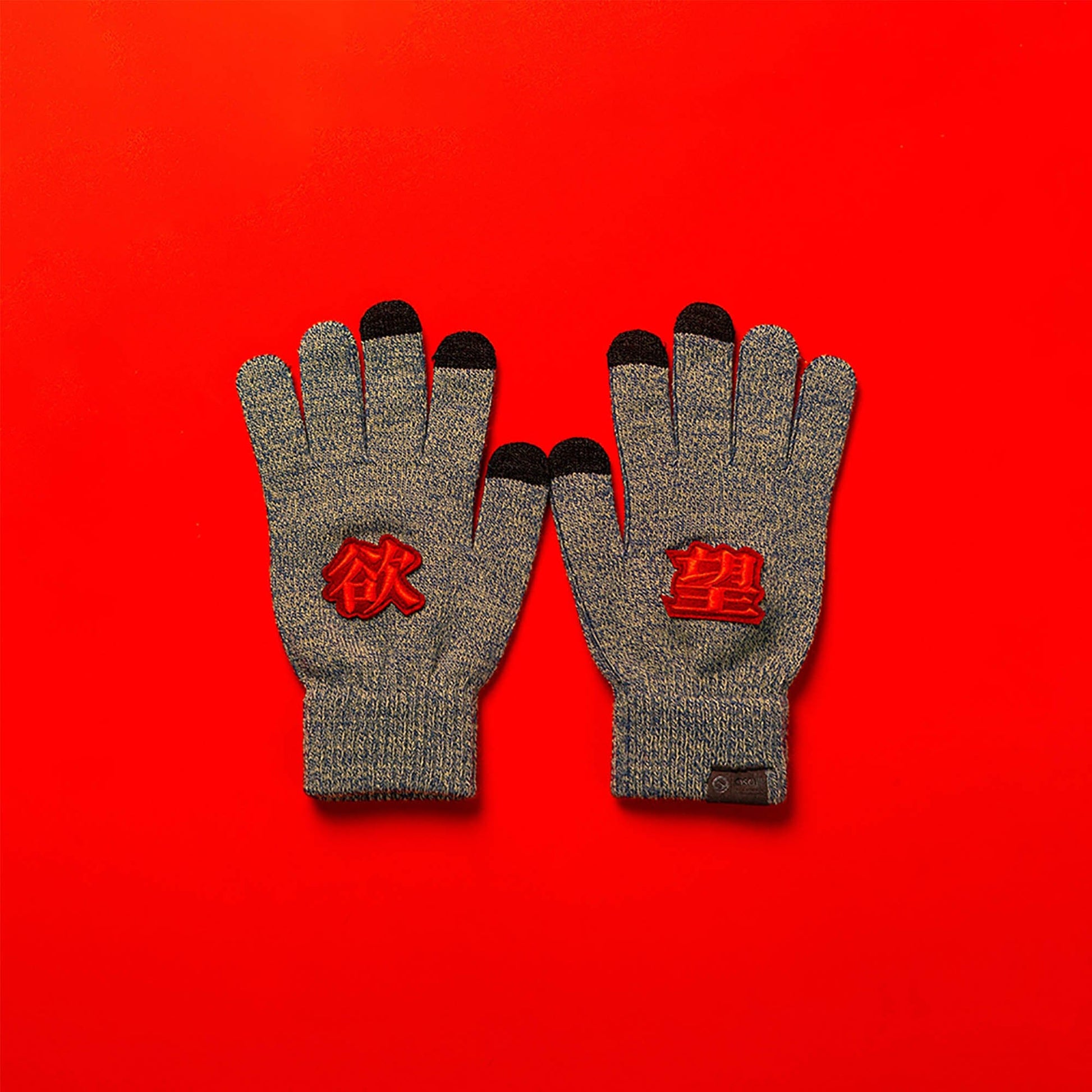OSCILL Embroidered Knit Gloves-Other Accessories-One Size-Grey - Desire-Free Shipping Leatheretro
