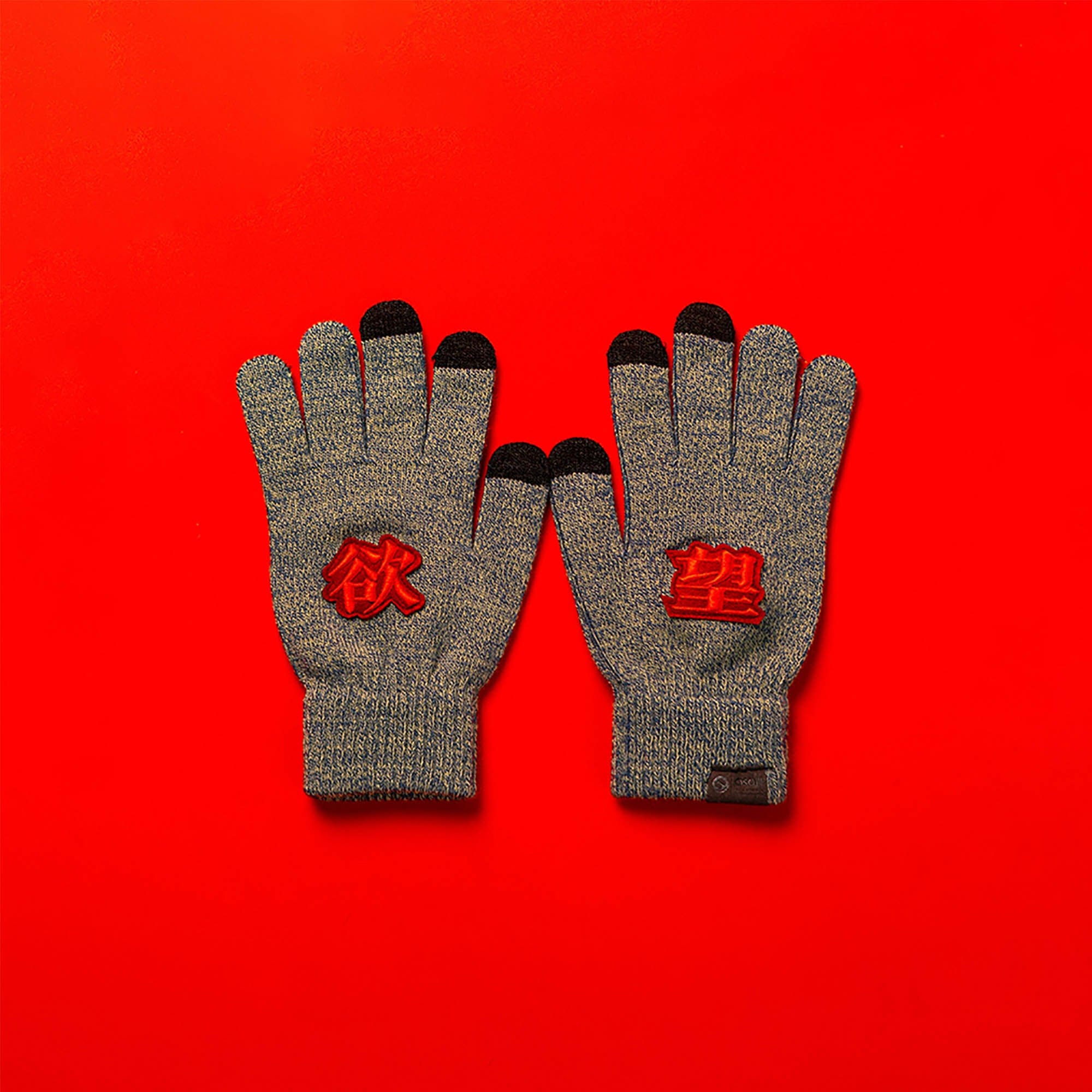 OSCILL Embroidered Knit Gloves-Other Accessories-One Size-Grey - Desire-Free Shipping Leatheretro
