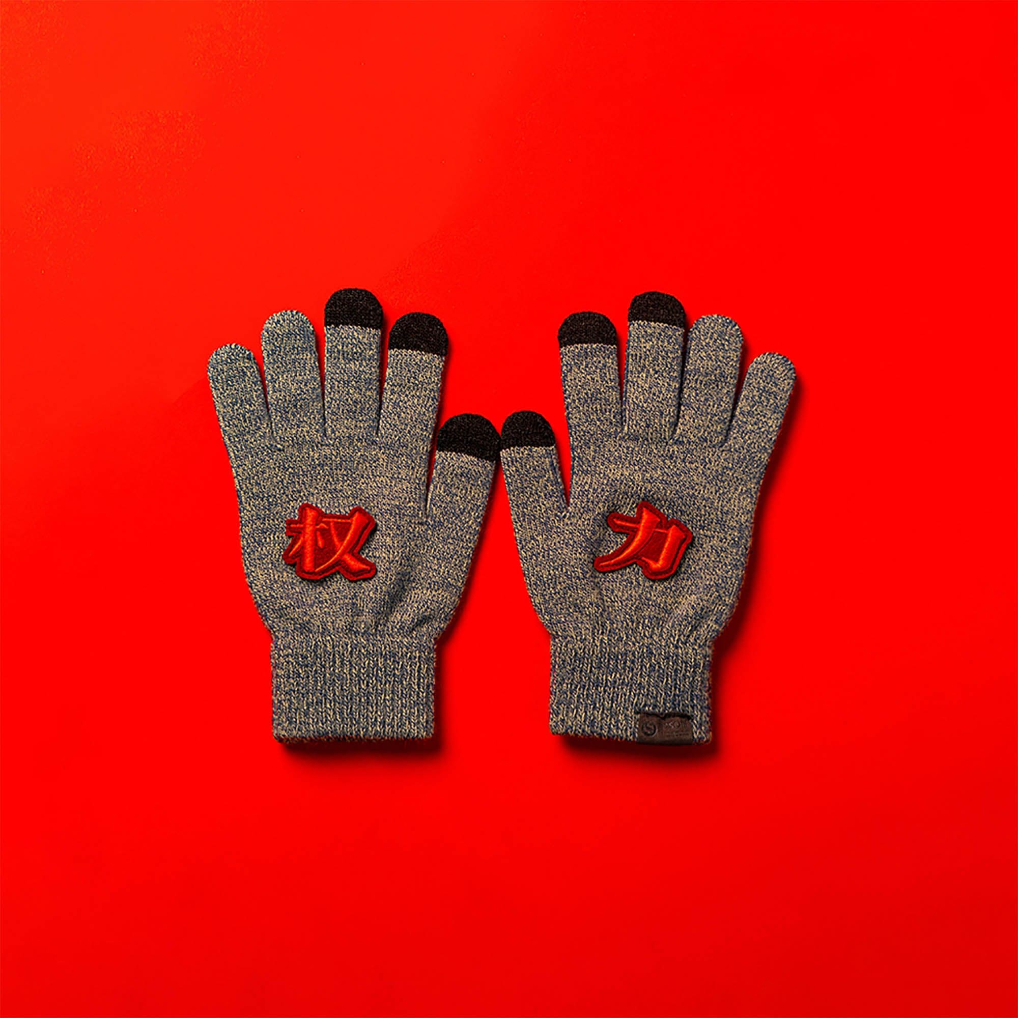 OSCILL Embroidered Knit Gloves-Other Accessories-One Size-Grey - Power-Free Shipping Leatheretro