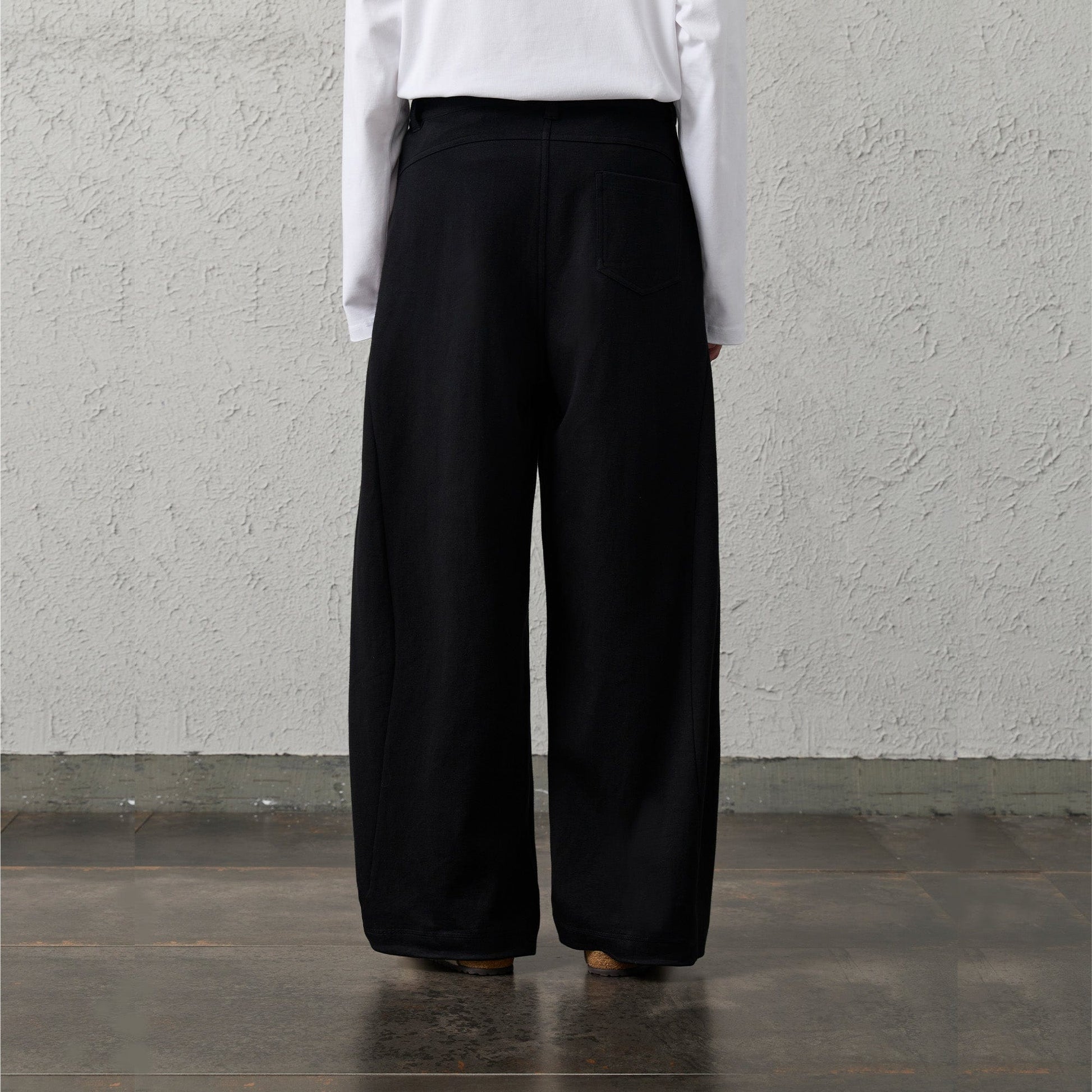 ORGANIC EMOTION Pleat Seam Curved Pants-Pants-Black-S-Free Shipping Leatheretro
