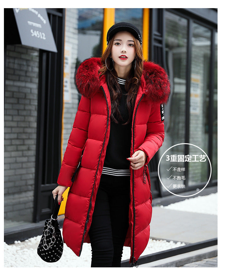 Fashion Women Winter Cotton Outerwear-Outerwear-Pink-M-Free Shipping Leatheretro