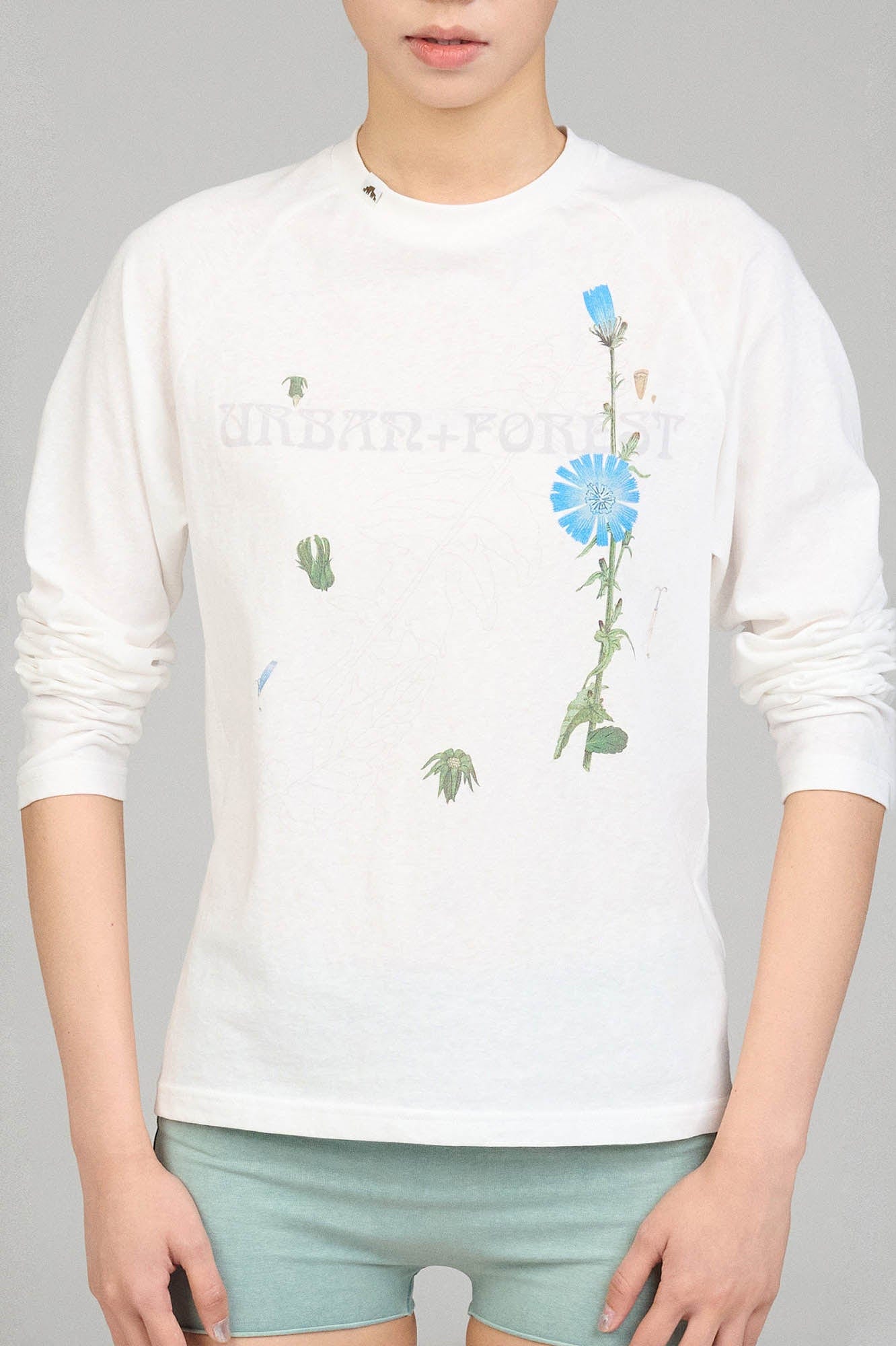 URBAN+FOREST Plant Atlas Raglan Long-Sleeve Tee-L/S Tee-XS-Grey-Free Shipping Leatheretro