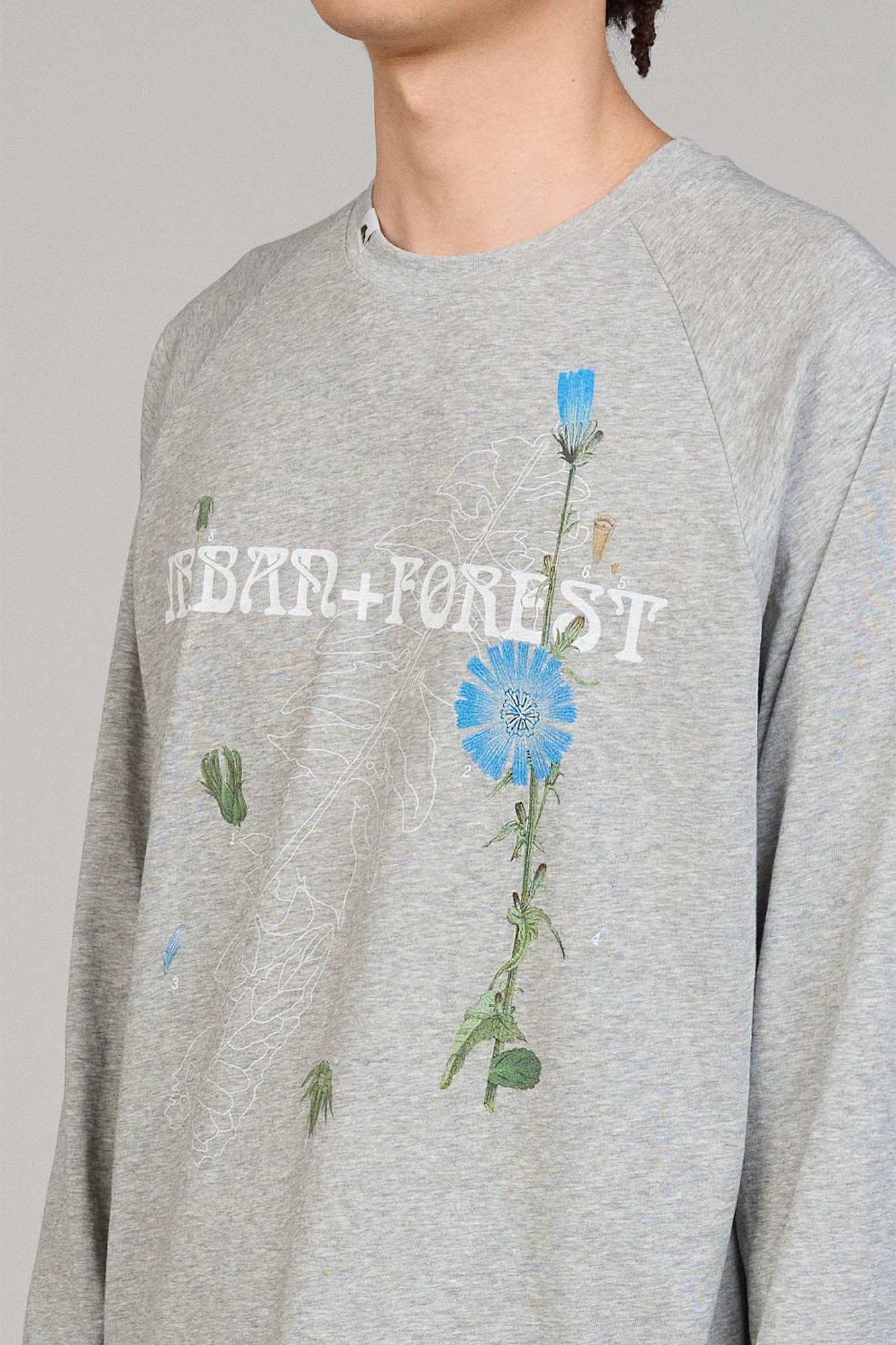 URBAN+FOREST Plant Atlas Raglan Long-Sleeve Tee-L/S Tee-XS-Grey-Free Shipping Leatheretro
