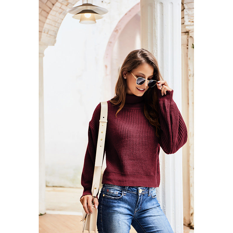 Casual High Neck Knitted Long Sleeves Sweaters-Sweater&Hoodies-Wine Red-S-Free Shipping Leatheretro