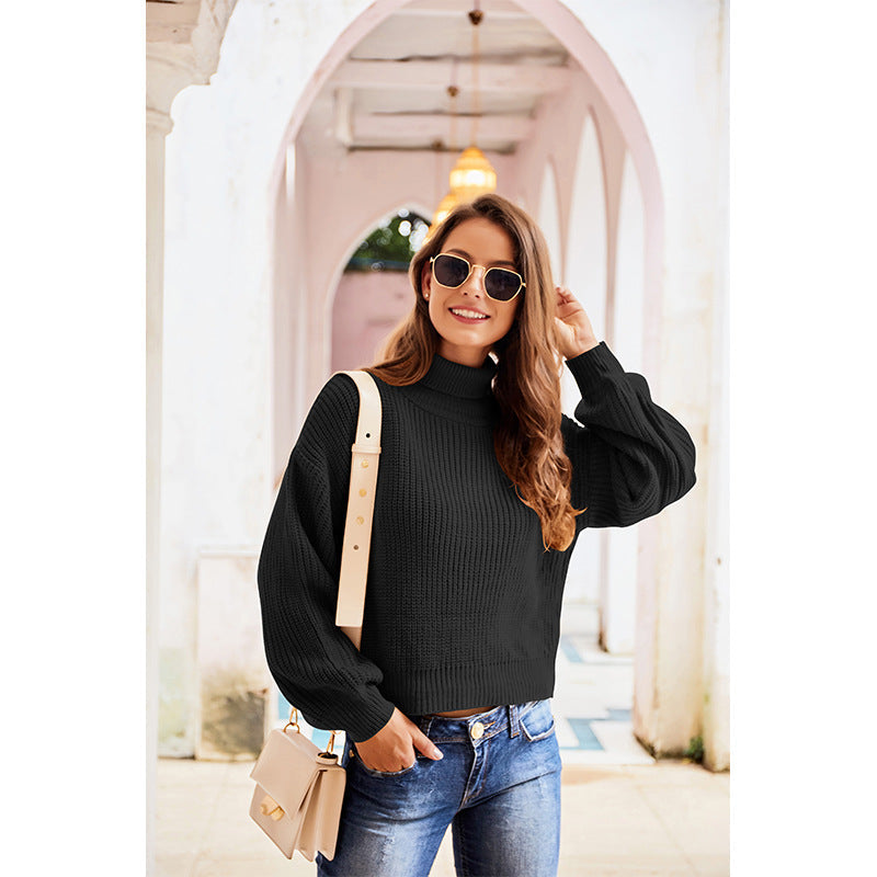 Casual High Neck Knitted Long Sleeves Sweaters-Sweater&Hoodies-Black-S-Free Shipping Leatheretro