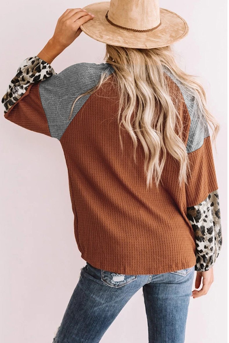 Casual Women Leopard Knitting Long Sleeves T Shirts-Women Sweaters-Black-S-Free Shipping Leatheretro