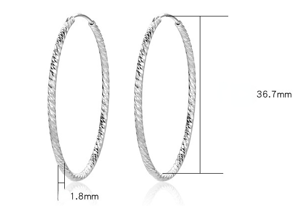 Fashion Sterling Silver Hoop Earrings for Women-Earrings-The same as picture-Free Shipping Leatheretro