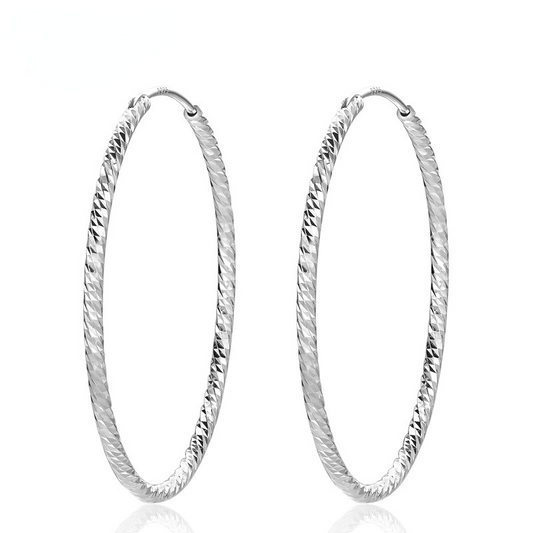 Fashion Sterling Silver Hoop Earrings for Women-Earrings-The same as picture-Free Shipping Leatheretro